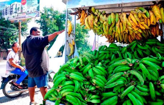 Alza de los precios del plátano podría ser por mala planificación de la siembra