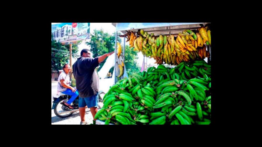 Alza de los precios del plátano podría ser por mala planificación de la siembra