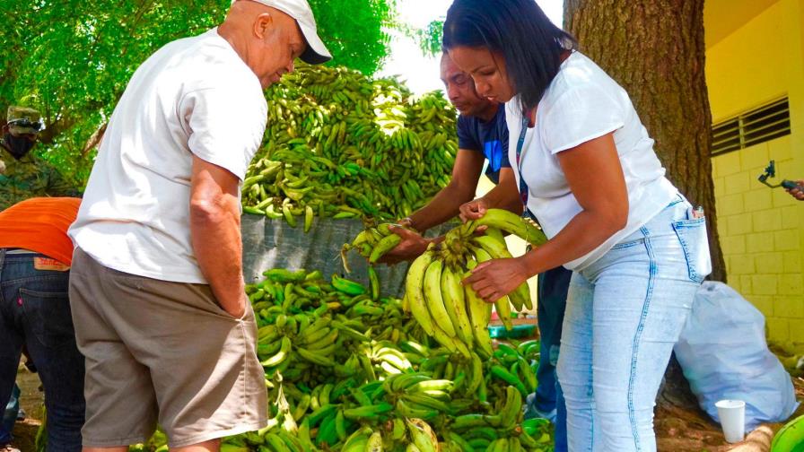 Inespre comienza la venta de plátanos a RD$1.00 la unidad