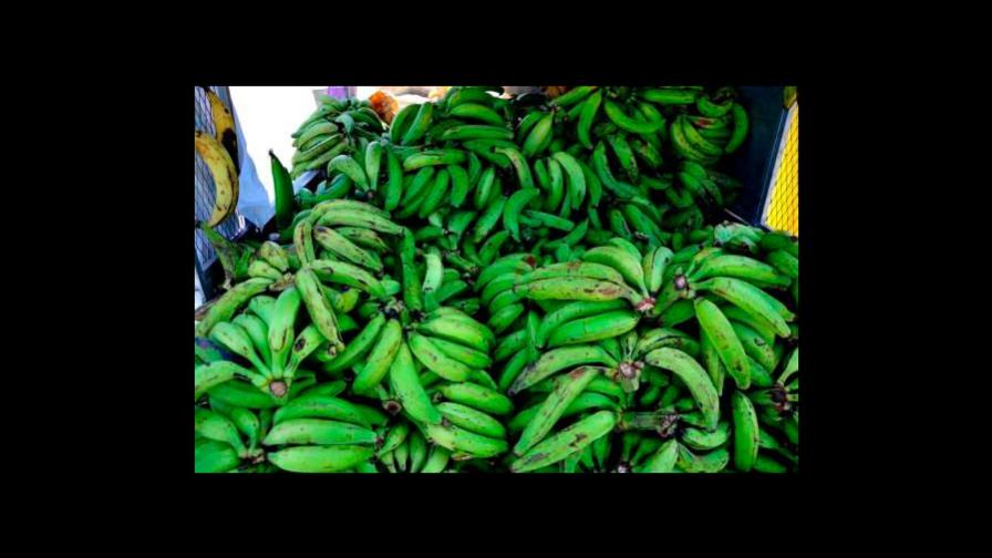 Precios de los productos agrícolas golpean presupuesto de los dominicanos Precios de los productos agrícolas golpean presupuesto de los dominicanos