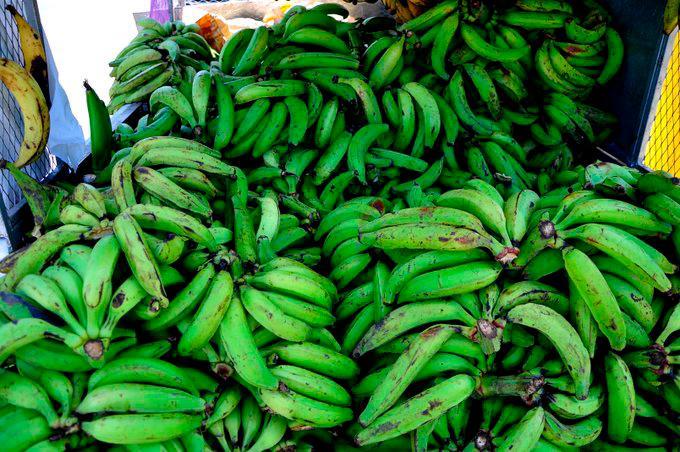 Dominicanos consumen más de ocho millones de plátanos diariamente 