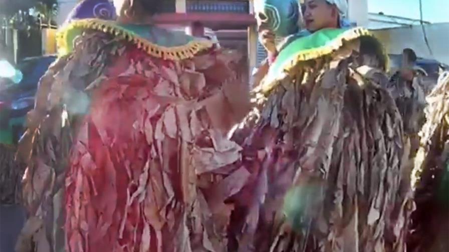 “Platanuses” de Cotuí ahora son Patrimonio Cultural Inmaterial del país “Platanuses” de Cotuí ahora son Patrimonio Cultural Inmaterial del país