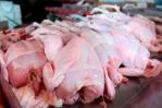 Ministerio de Agricultura asegura precios del pollo serán asequibles en Navidad Ministerio de Agricultura asegura precios del pollo serán asequibles en Navidad