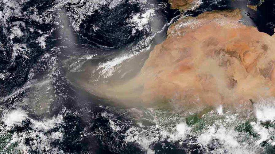 Florida alerta a los alérgicos por la llegada de tormenta de polvo del Sáhara