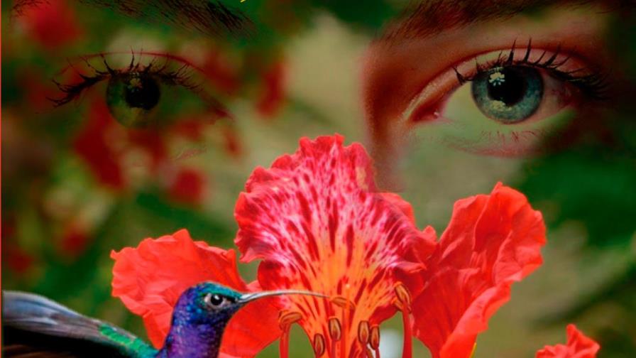 Periodista Frank Núñez publicará su cuarta obra