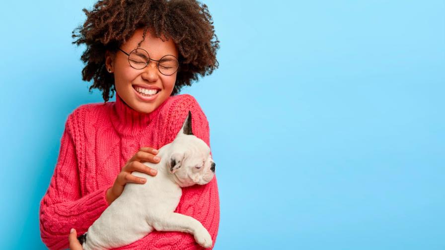 San Valentín también se celebra con las mascotas