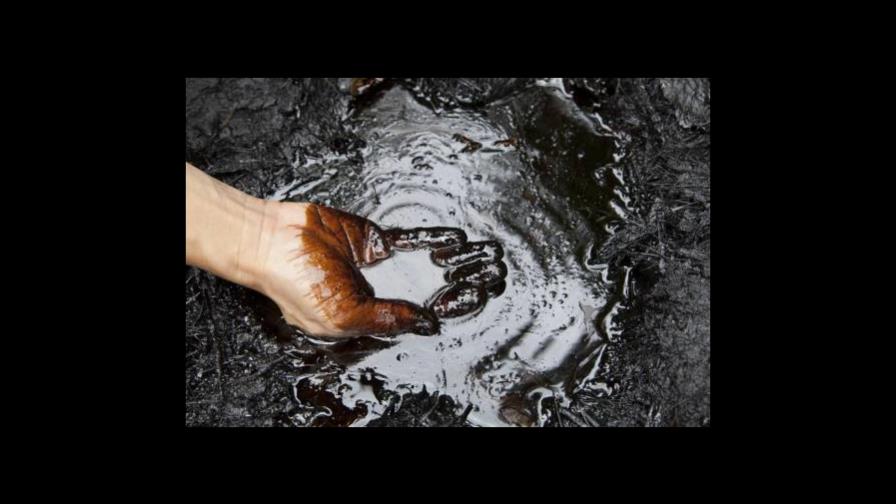 El precio del petróleo de Texas sube 0.03 % hasta US$55.50 el barril