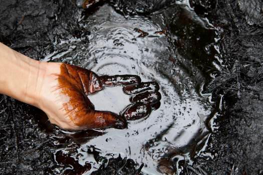 Petróleo Texas se desploma 22 % y se coloca a 32.15 dólares el barril este lunes