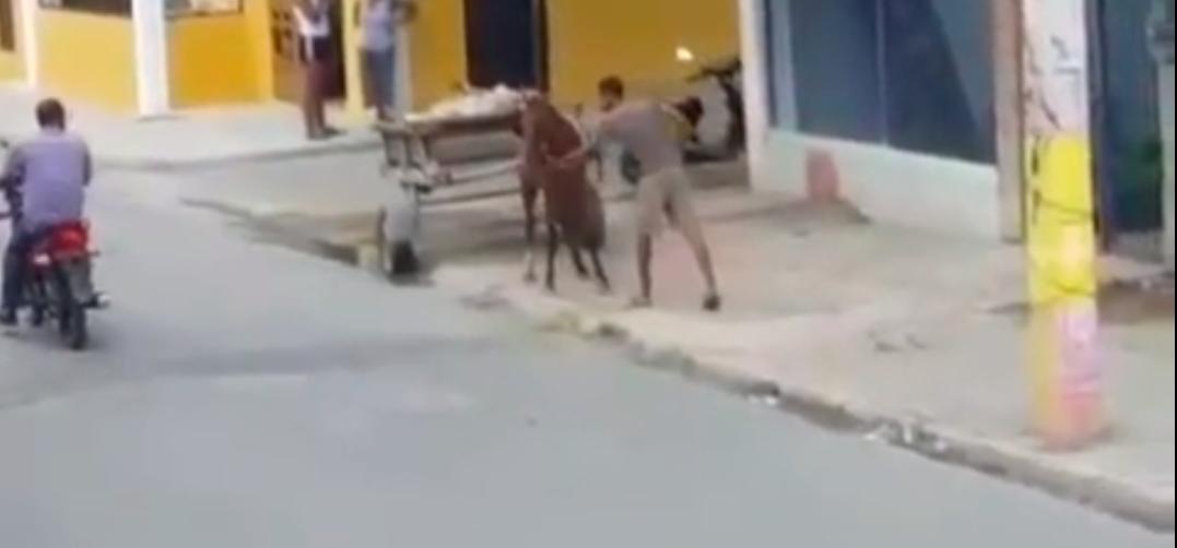 Video sensible | Vendedor ambulante le cae a fuetazos a un caballo