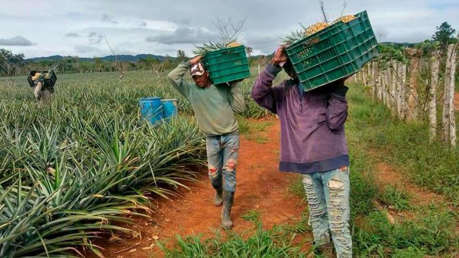 Más de 12,500 productores agropecuarios recibieron financiamiento a tasa cero del Gobierno 