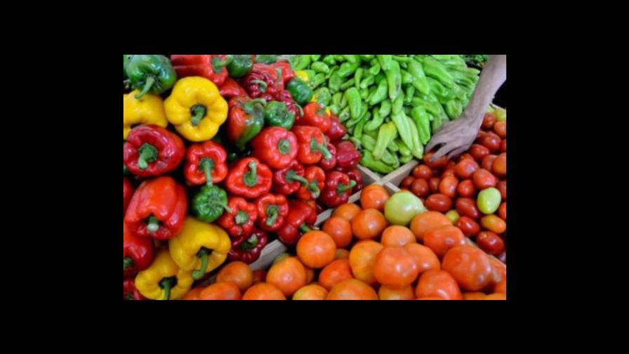 Productores temen cosechas se dañen por falta de mercado