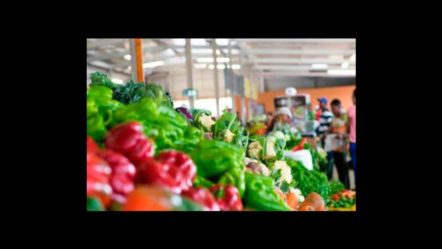 Turismo dominicano compra más de RD$30,000 millones al sector agropecuario