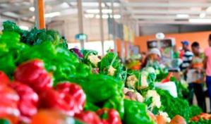 Los que viven en la región Este son quienes más pudieron costear la canasta básica en 2022