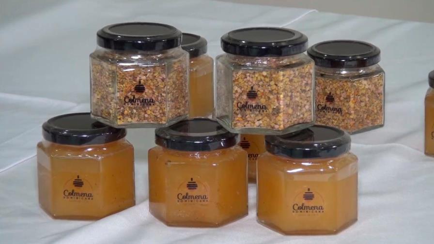 Sector apícola, más que miel en la República Dominicana Sector apícola, más que miel en la República Dominicana