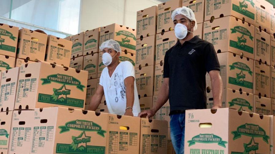 Inician exportación de vegetales y frutas a Estados Unidos 