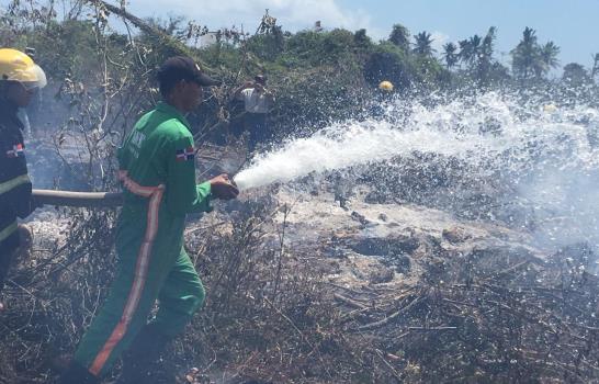 Sospechan fue intencional el  incendio forestal en área protegida de Laguna Bávaro 