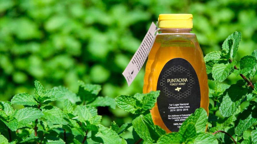 Puntacana Forest Honey gana primer lugar en Concurso Nacional de Mieles Puntacana Forest Honey gana primer lugar en Concurso Nacional de Mieles