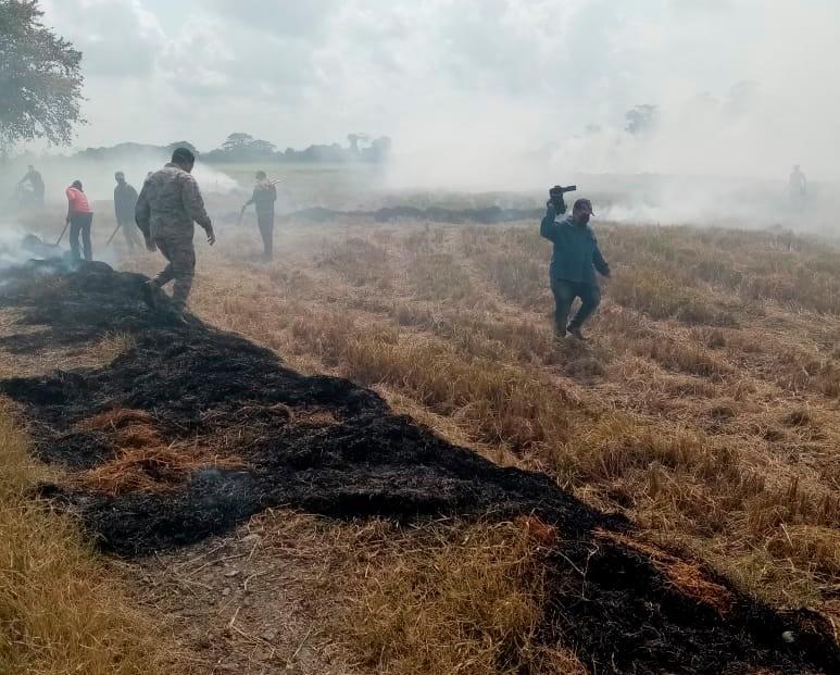 Apresan 15 personas por la quema de pajas de arroz; Medio Ambiente hace advertencia 