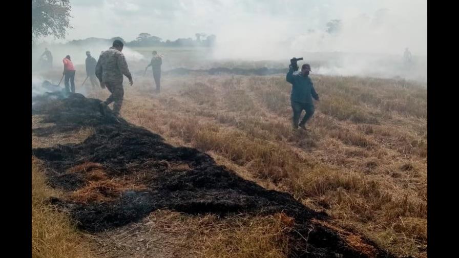 Apresan 15 personas por la quema de pajas de arroz; Medio Ambiente hace advertencia 