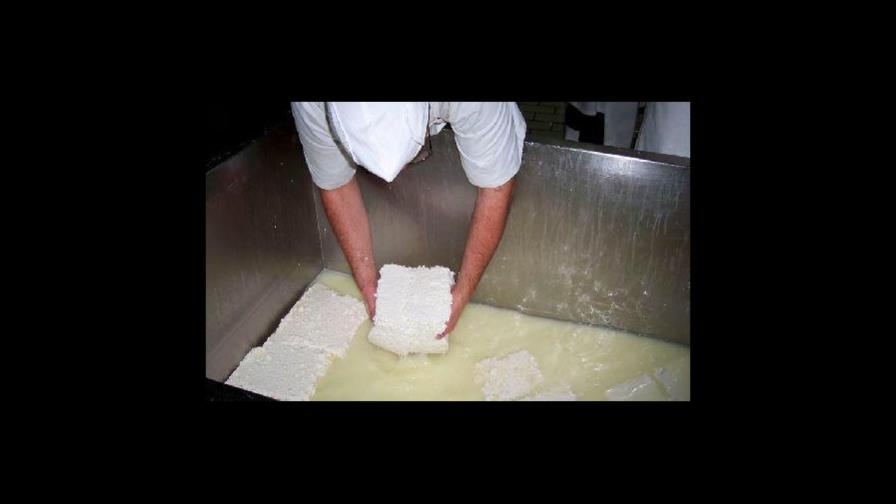 Mexicanos logran biocombustibles con residuos de industrias del queso y vino
