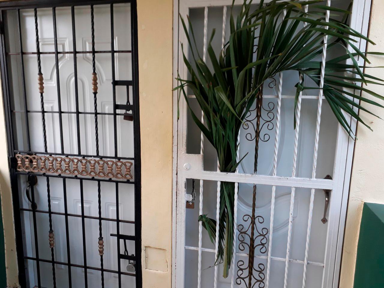 Viviendas con palmeras simbolizando el domingo de ramos .