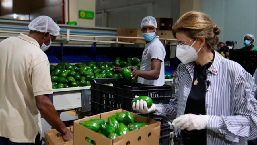 Raquel Peña: “Programas sociales deben incluir al trabajador de la tierra”
