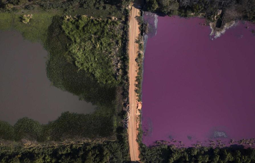 Contaminación tiñe de púrpura laguna en Paraguay