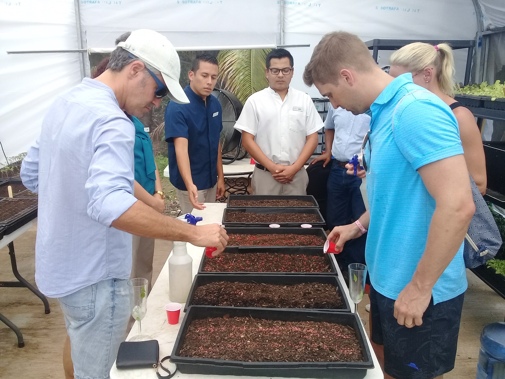 Los huertos favorecen la sostenibilidad. Este tipo de actividad va en favor de la calidad del producto.