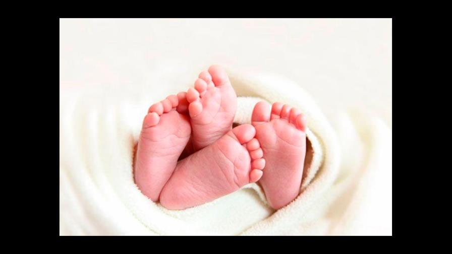 Nacen 12 pares de gemelos en el mismo hospital Nacen 12 pares de gemelos en el mismo hospital