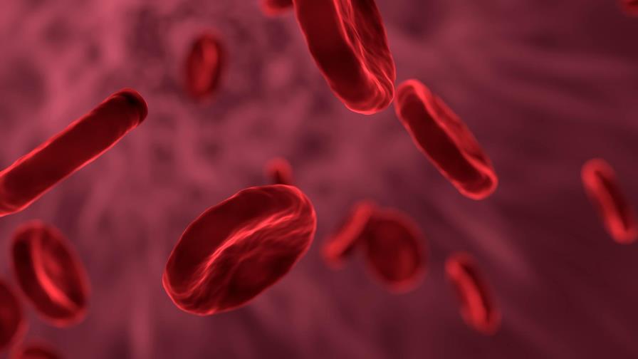 Las células inmunes envejecidas aceleran patologías asociadas a la edad