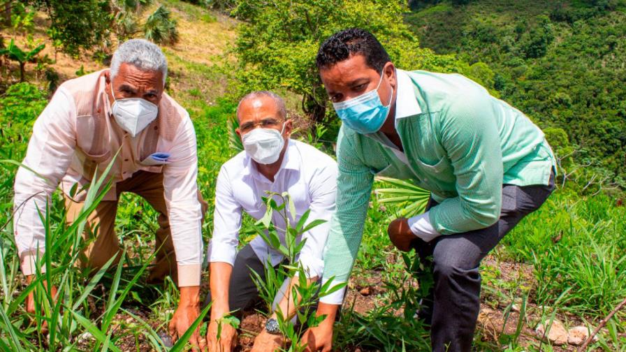 Siembran más de 15 mil árboles durante jornada de reforestación en ocho provincias 