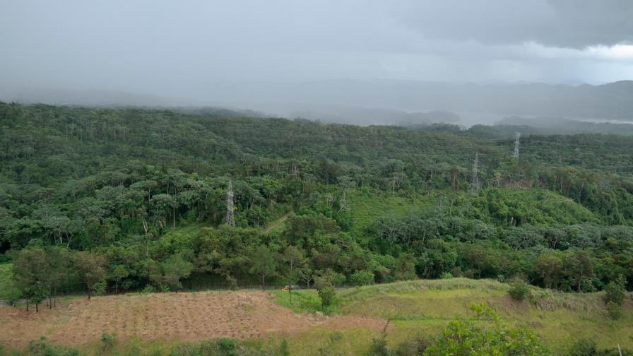 Reforestación para la reducción de emisiones de gases de efecto invernadero