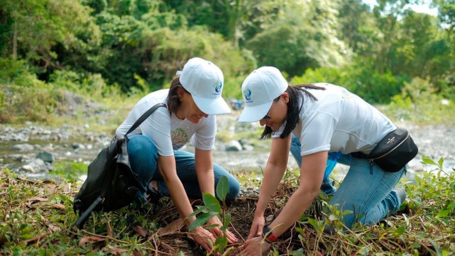 Fundación AES Dominicana y Fonper reforestan microcuenca Haina-Duey