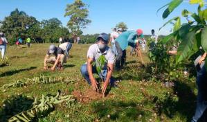 Reforestan orillas del río Masacre en Dajabón