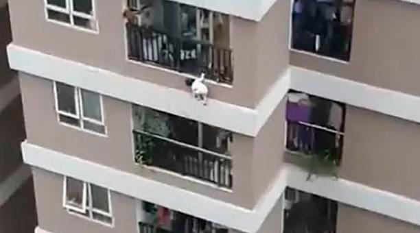 Un repartidor salva a una niña que cayó de una altura de 12 pisos en Vietnam