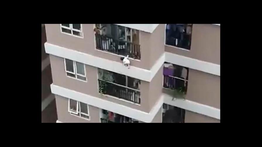 Un repartidor salva a una niña que cayó de una altura de 12 pisos en Vietnam