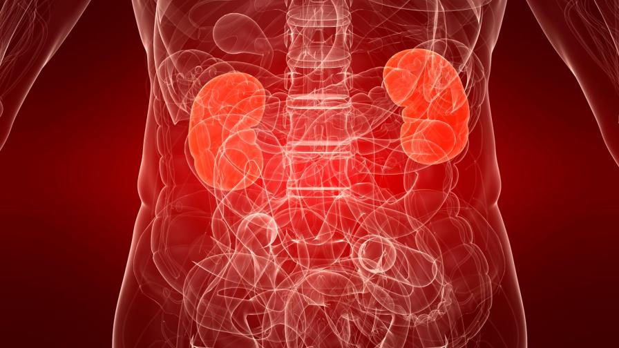 ¡Buena noticia! Identifican los genes responsables de la enfermedad renal crónica ¡Buena noticia! Identifican los genes responsables de la enfermedad renal crónica