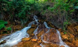 Medio Ambiente ordena detener tala de árboles en cuenca del río Las Damas en Duvergé
