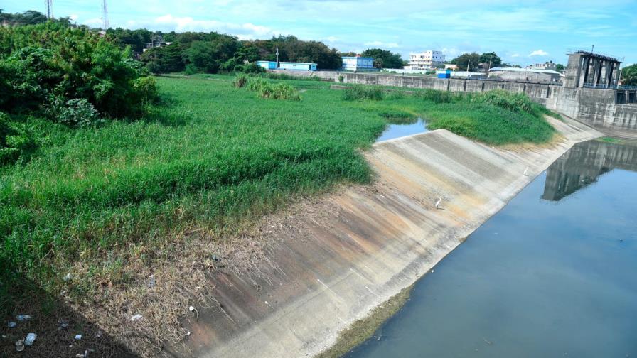 Entregarán este jueves Premio Periodismo Ambiental Entregarán este jueves Premio Periodismo Ambiental
