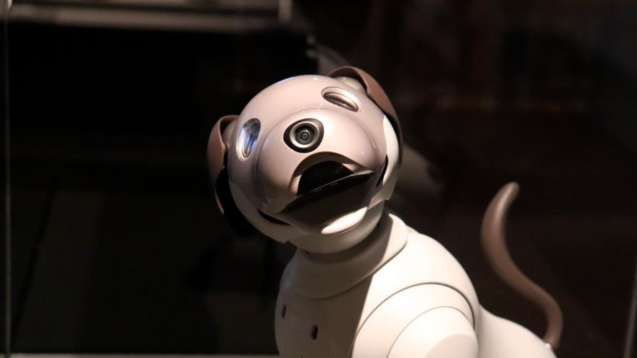 Los robots: aliados en la crisis sanitaria, ¿enemigos después? Los robots: aliados en la crisis sanitaria, ¿enemigos después?