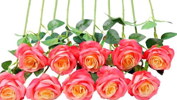 “Rosas artificiales”, un cuento de Gerson Adrián Cordero