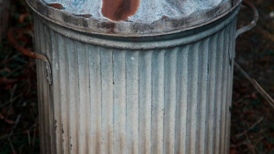 Mujer esconde cadáver en cubo de basura para seguir cobrando Seguridad Social Mujer esconde cadáver en cubo de basura para seguir cobrando Seguridad Social