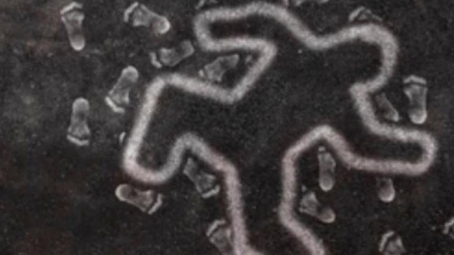 Matan joven de una puñalada en San Pedro de Macorís 