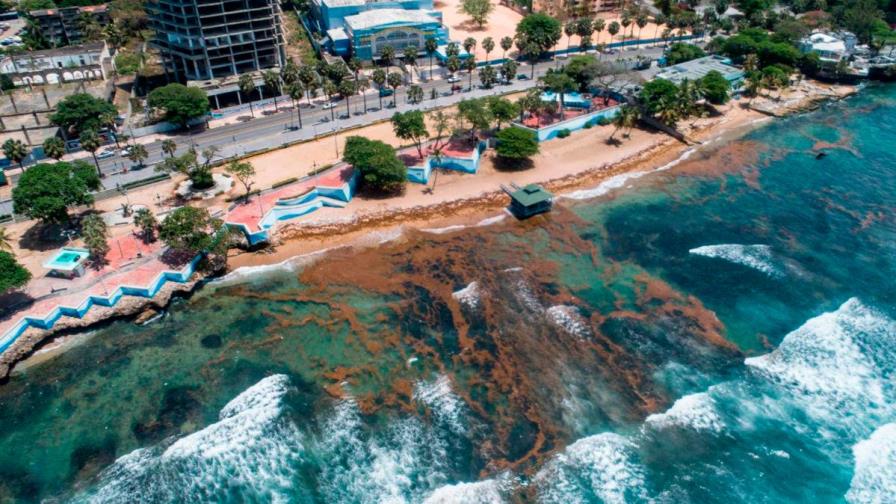 Turismo y Asonahores crean Fondo para Mitigación del Sargazo en playas del país 