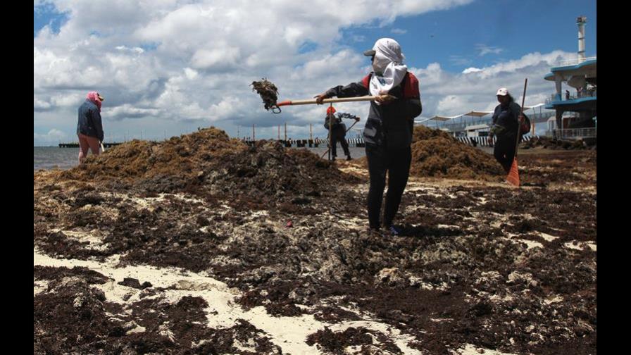 El turístico del Caribe mexicano afectado por inseguridad y sargazo