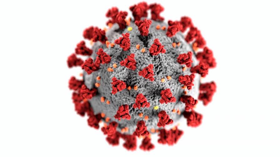 SARS-Cov-2 es            un virus endémico