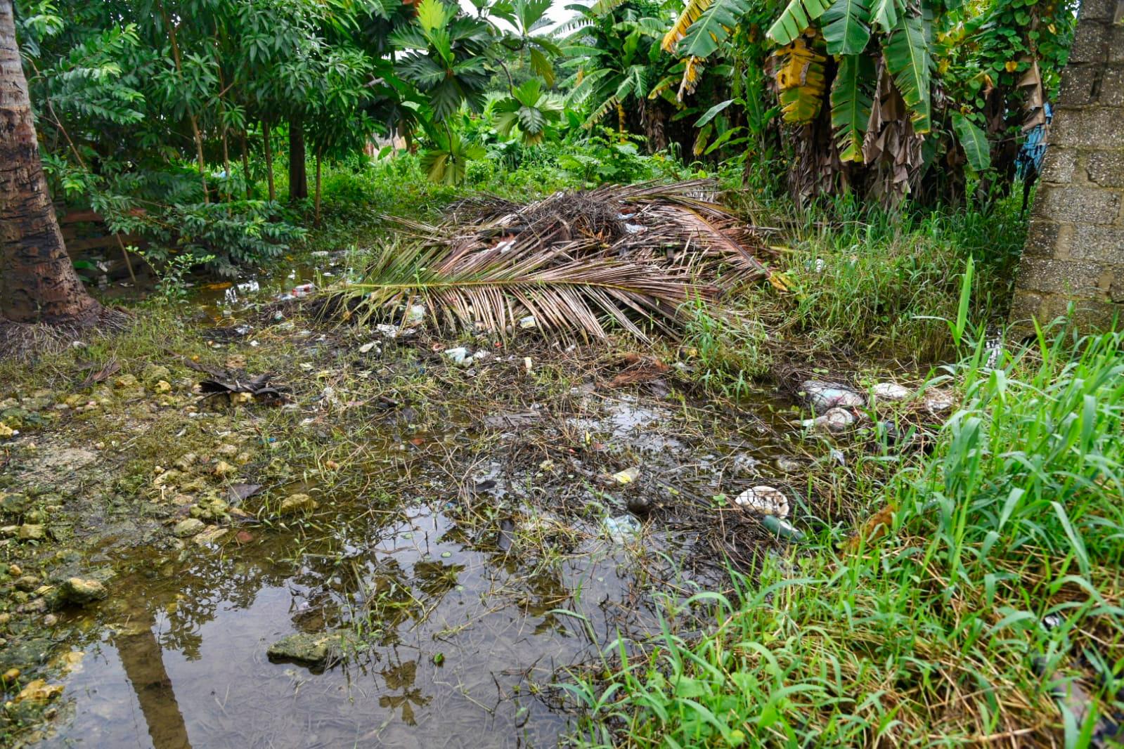 Temen por la posibilidad de que haya una crecida del río Ozama. 