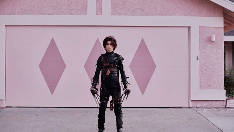 Tim Burton habló sobre Timothée Chalamet como Edgard Scissorhands Tim Burton habló sobre Timothée Chalamet como Edgard Scissorhands