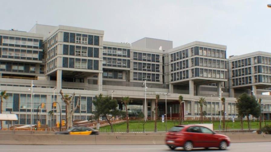 Un gusano facilita investigación de una enfermedad rara del sistema nervioso