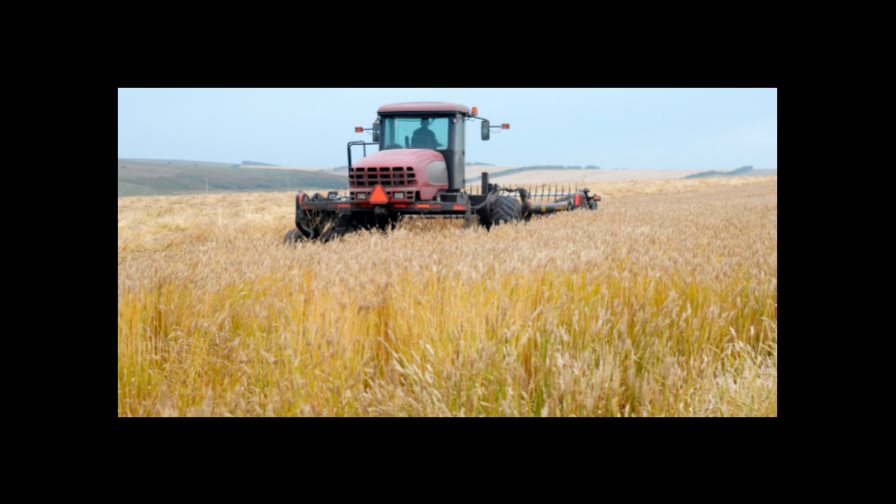 Cegar no es lo mismo que segar